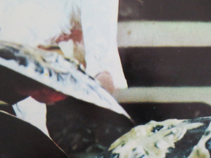 STEEL - FISTED DRAGON - A ITALIAN FOTOBUSTA POSTER JOHNNY HONG KONG FATIMAH 1977 Movie posters