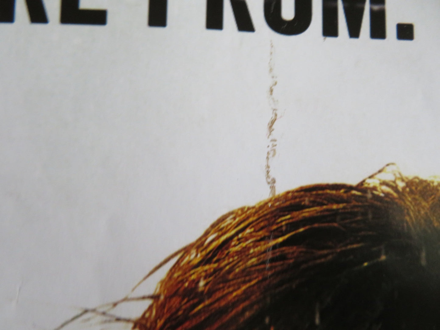 STEP UP 2: THE STREETS US ONE SHEET ROLLED POSTER BRIANA EVIGAN HOFFMAN 2008 Rendezvous Cinema Movie posters