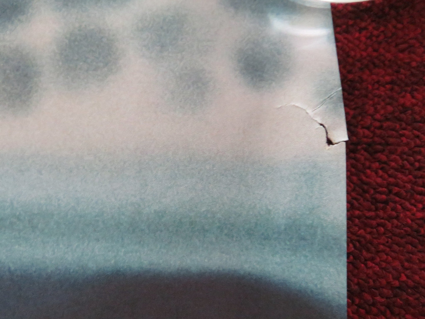 STEVE UK QUAD ROLLED POSTER CILLIAN MURPHY EMILY WATSON 2025 Movie posters