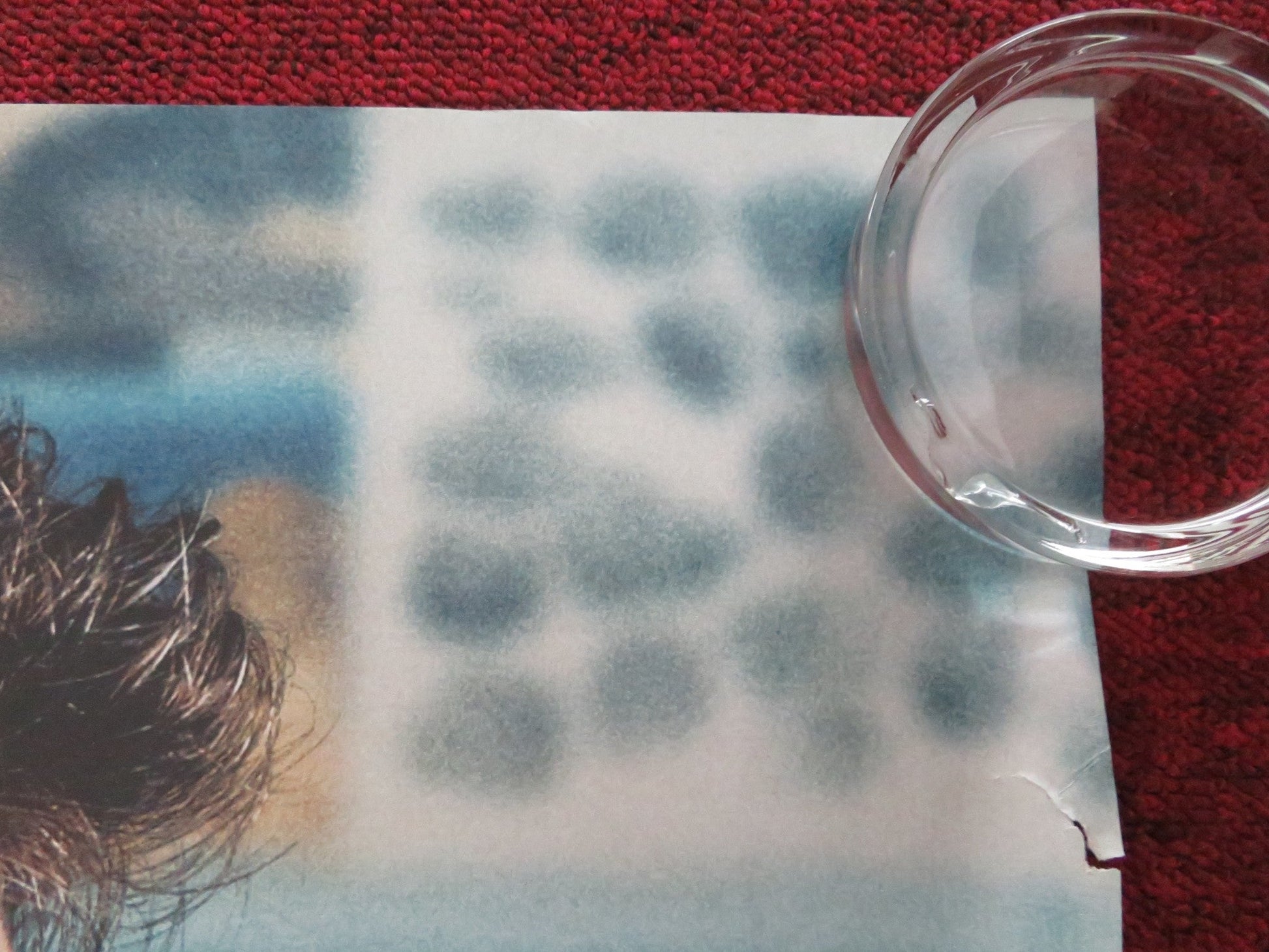 STEVE UK QUAD ROLLED POSTER CILLIAN MURPHY EMILY WATSON 2025 Movie posters