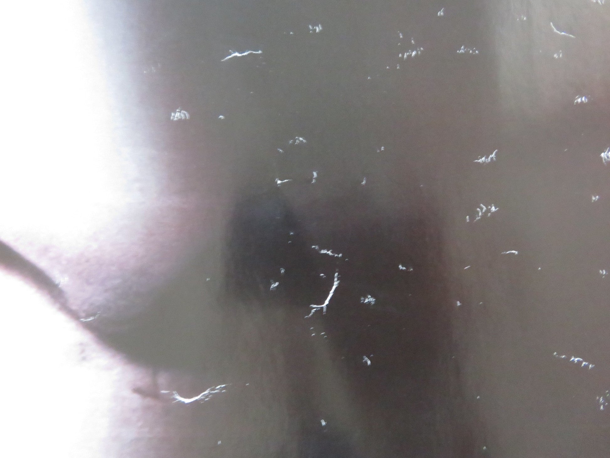 STRAIGHTHEADS UK QUAD ROLLED POSTER GILLIAN ANDERSON DANNY DYER 2007 Rendezvous Cinema Movie posters