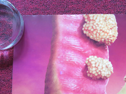 STRANGE WORLD UK QUAD ROLLED POSTER DISNEY JAKE GYLLENHAAL DENNIS QUAID 2022 Rendezvous Cinema Movie posters