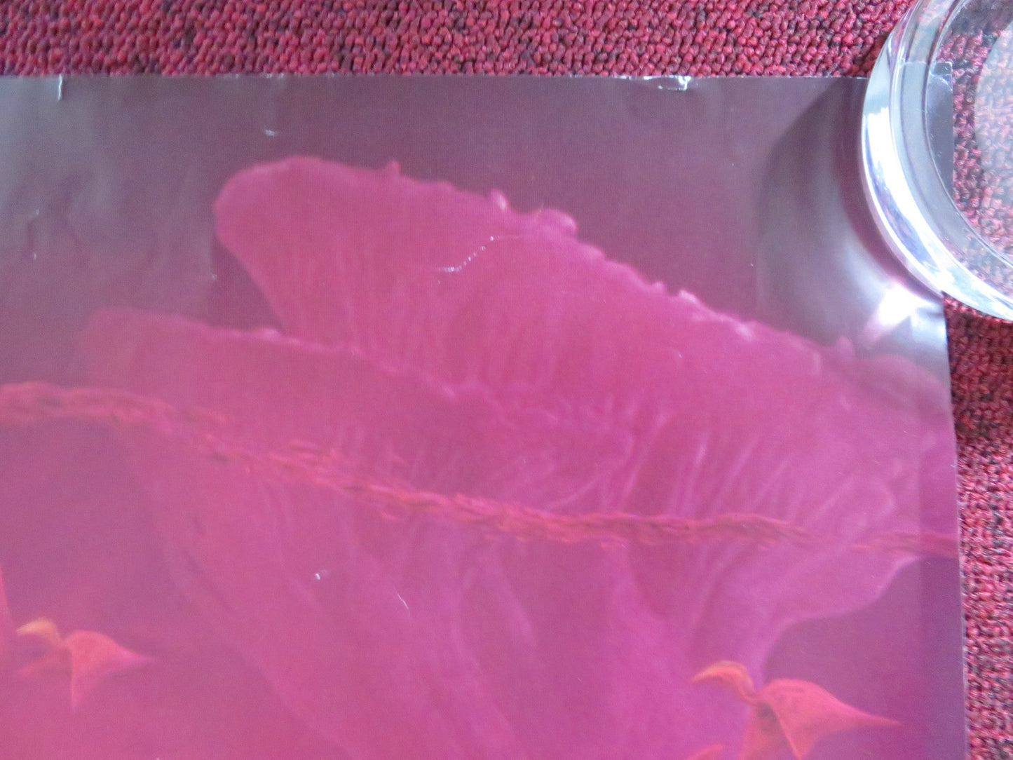 STRANGE WORLD UK QUAD ROLLED POSTER DISNEY JAKE GYLLENHAAL DENNIS QUAID 2022 Rendezvous Cinema Movie posters