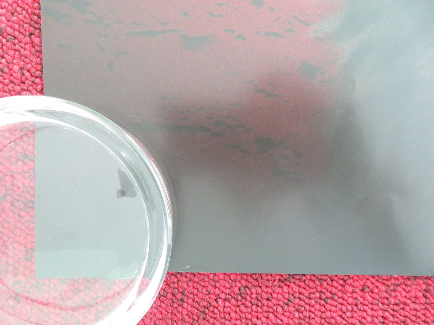 STRAYS UK QUAD ROLLED POSTER WILL FERRELL JAMIE FOXX 2023 Movie posters