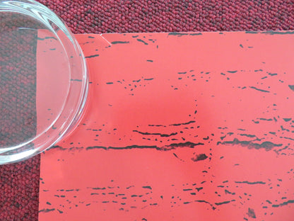 STRAYS UK QUAD ROLLED POSTER WILL FERRELL JAMIE FOXX 2023 Movie posters