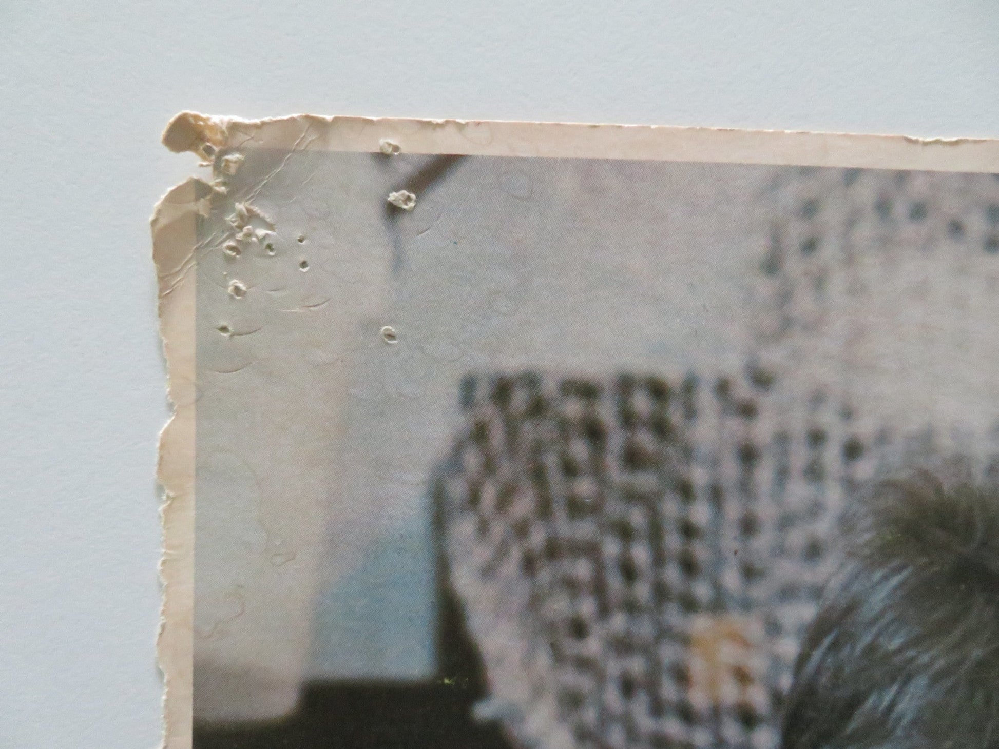 SUDDEN IMPACT - #7 US LOBBY CARD CLINT EASTWOOD SONDRA LOCKE 1983 Rendezvous Cinema Movie posters