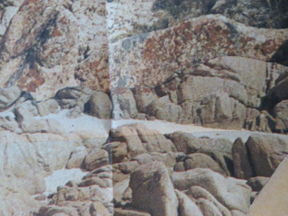 SUMMER NIGHT WITH GREEK PROFILE, ALMOND EYES... ITALIAN 2 FOGLIO POSTER 1986 Rendezvous Cinema Movie posters