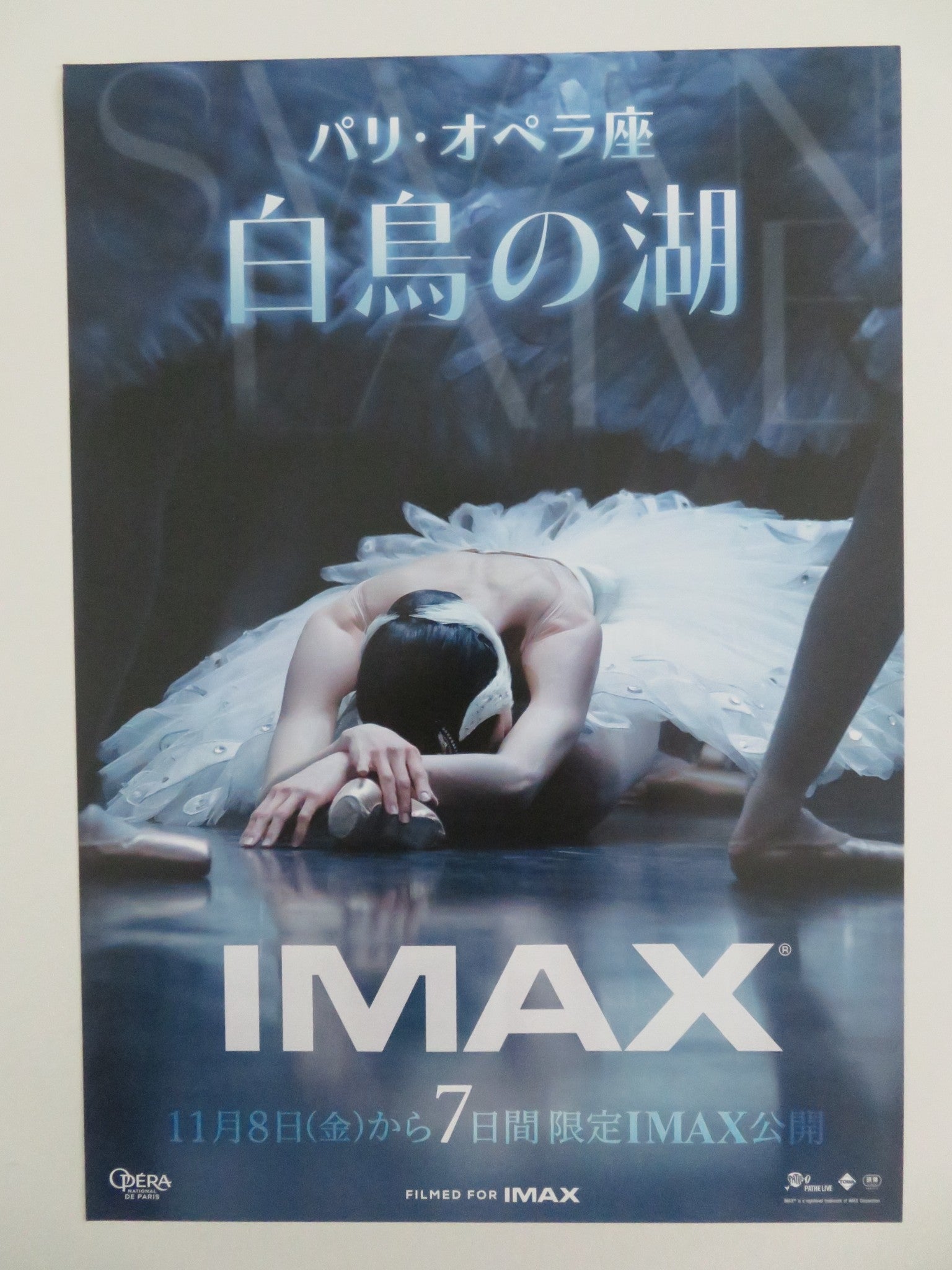 SWAN LAKE JAPANESE CHIRASHI (B5) POSTER CAMILLE BON HELOISE BOURDON 2024 Rendezvous Cinema Movie posters