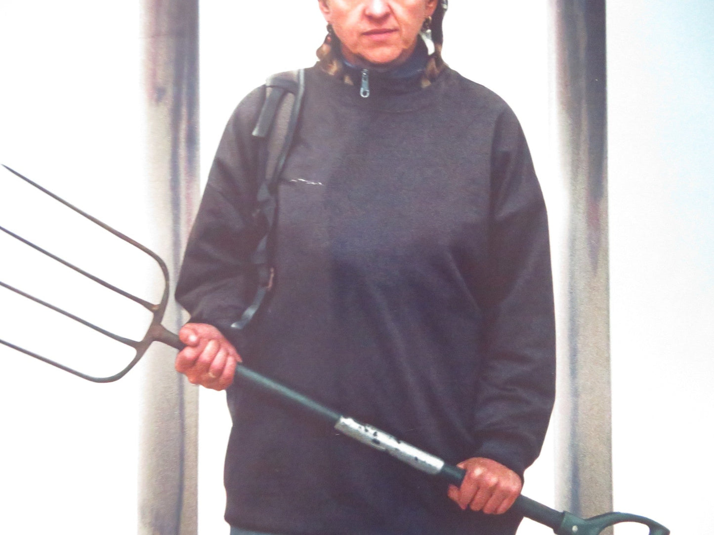 SWEDE CAROLINE UK QUAD ROLLED POSTER JO HARTLEY AISLING BEA 2024 Rendezvous Cinema Movie posters