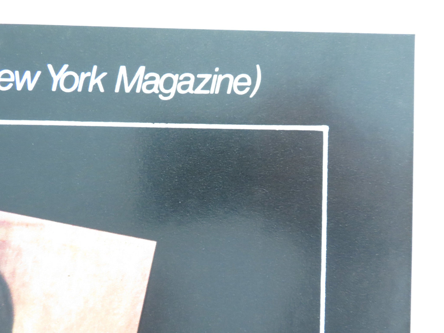 SWEET CAPTIVE - D ITALIAN FOTOBUSTA POSTER RHONDA JO PETTY JOHN HOLMES 1980 Movie posters