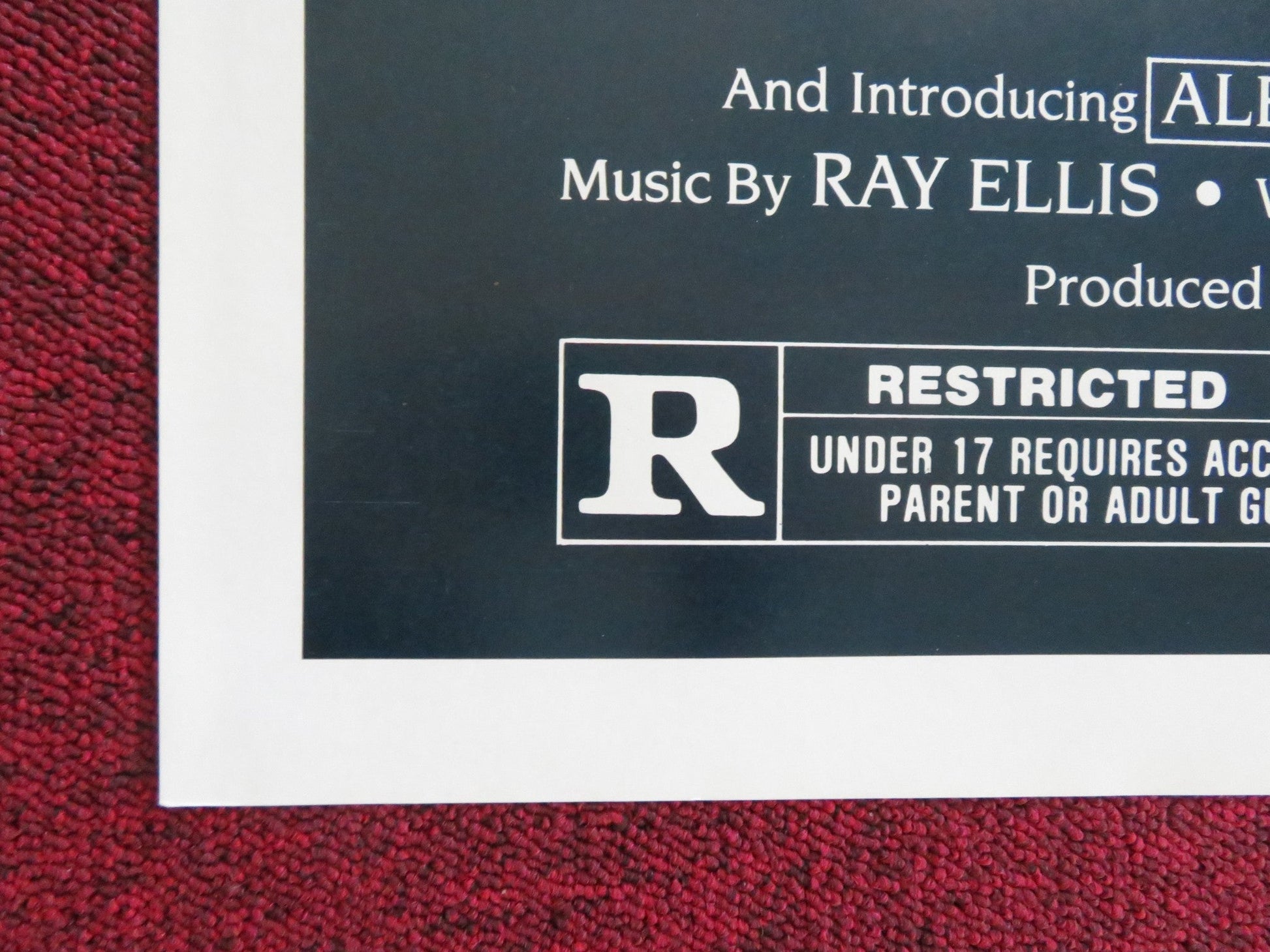 SWEET SIXTEEN FOLDED US ONE SHEET POSTER BO HOPKINS SUSAN STRASBERG 1982 Rendezvous Cinema Movie posters