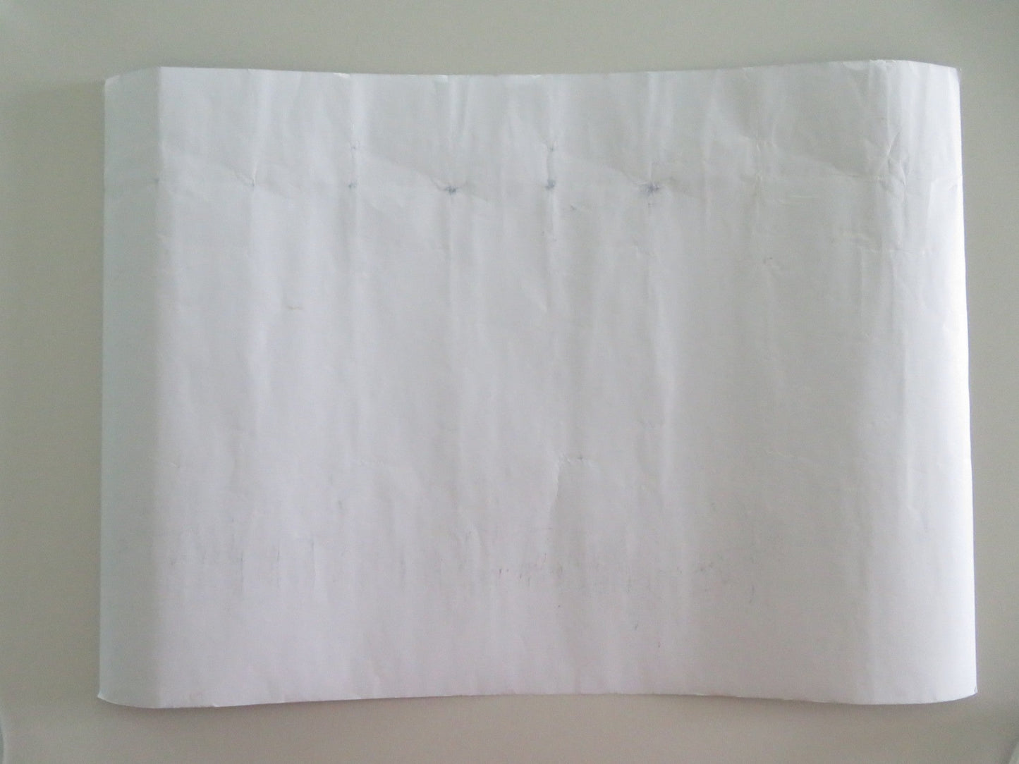 TALES FROM THE LODGE SIGNED ROLLED POSTER JOHNNY VEGAS MACKENZIE CROOK 2019 Movie posters