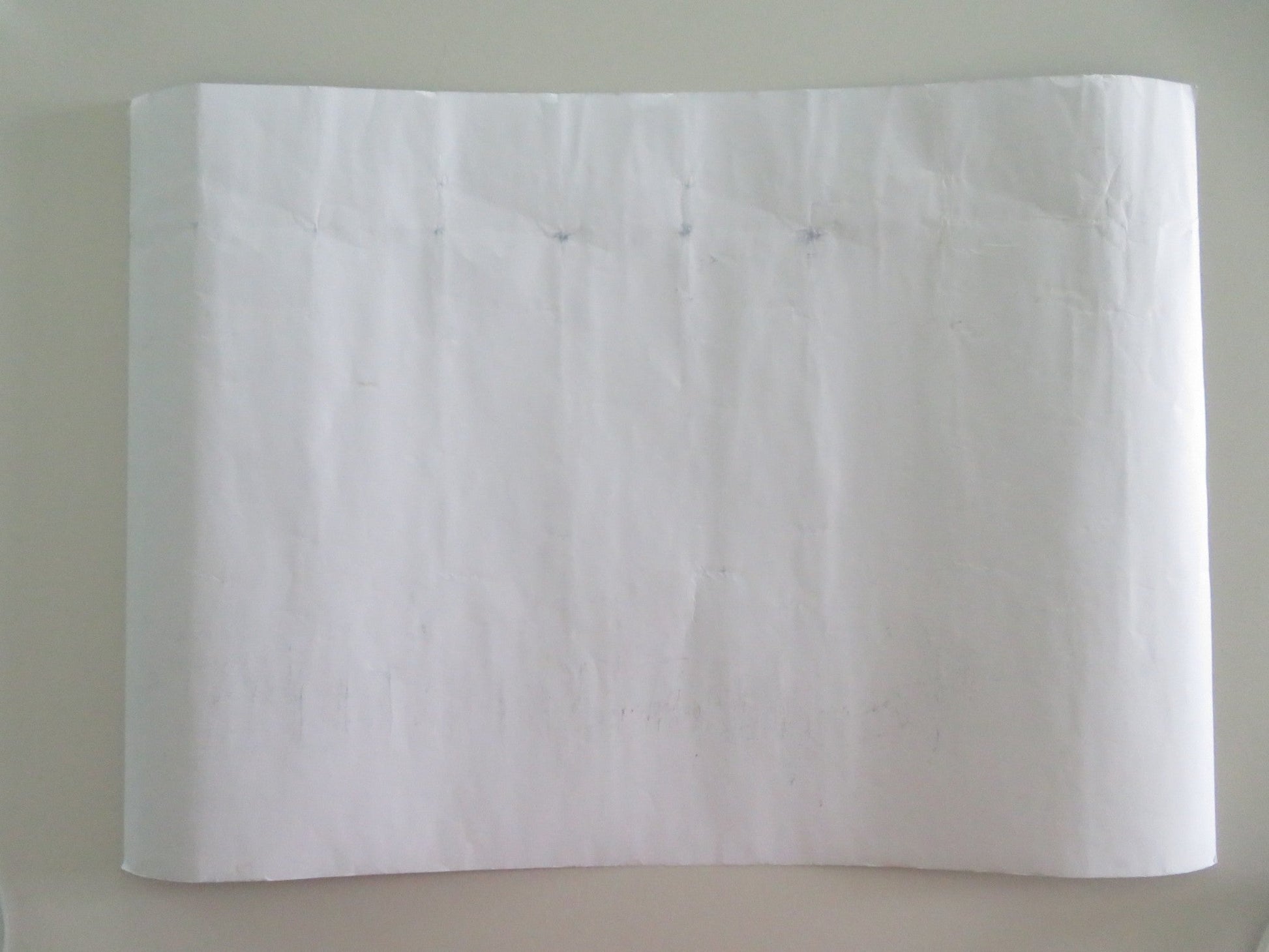 TALES FROM THE LODGE SIGNED ROLLED POSTER JOHNNY VEGAS MACKENZIE CROOK 2019 Movie posters