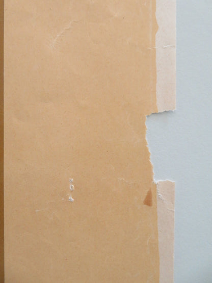 TARAS BULBA ITALIAN LOCANDINA POSTER TONY CURTIS YUL BRYNNER 1962 Movie posters