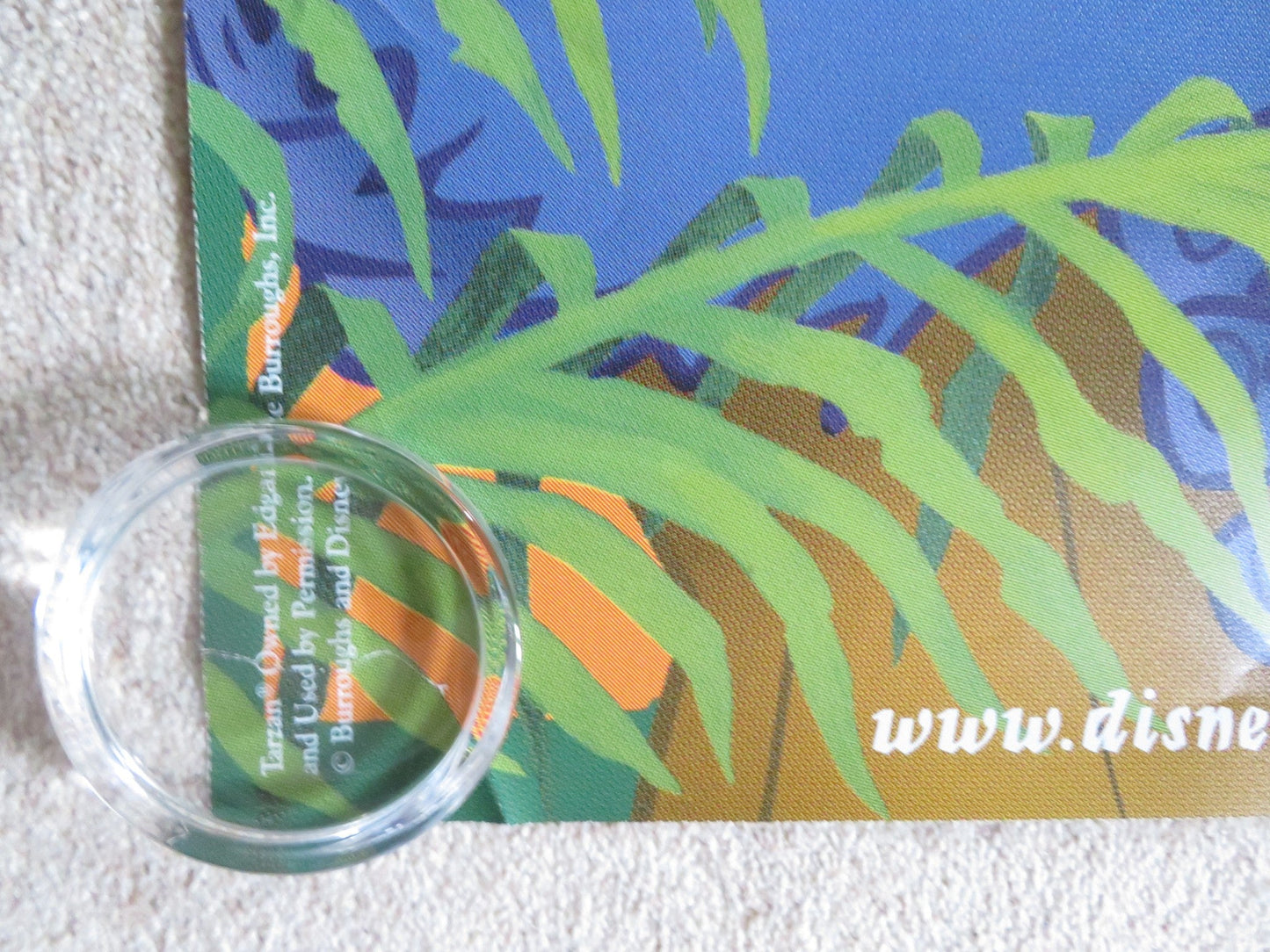 TARZAN - DOUBLE IMAGE - A DOOR PANEL POSTER ROLLED DISNEY GLENN CLOSE 1999 Rendezvous Cinema Movie posters