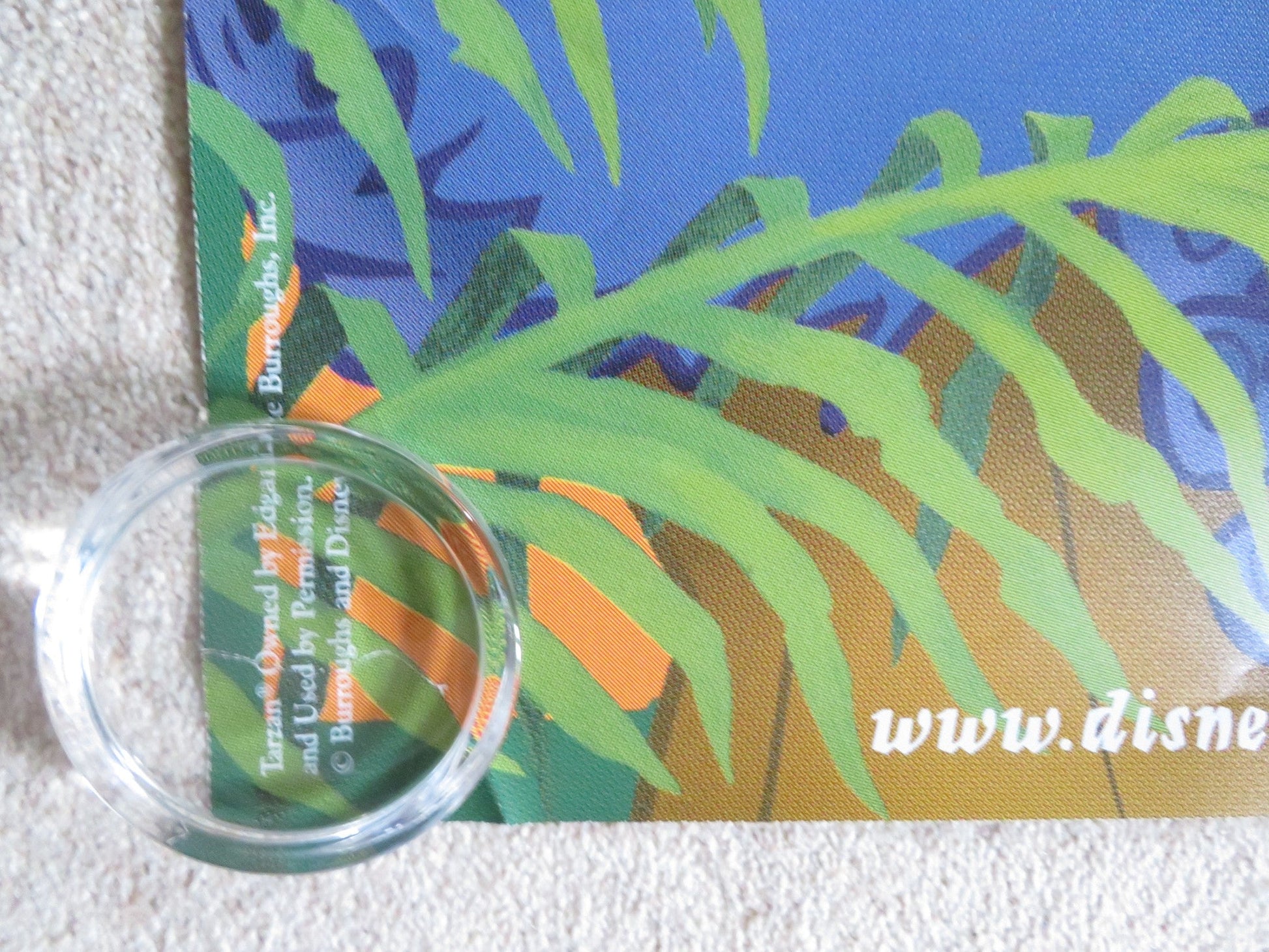 TARZAN - DOUBLE IMAGE - A DOOR PANEL POSTER ROLLED DISNEY GLENN CLOSE 1999 Rendezvous Cinema Movie posters