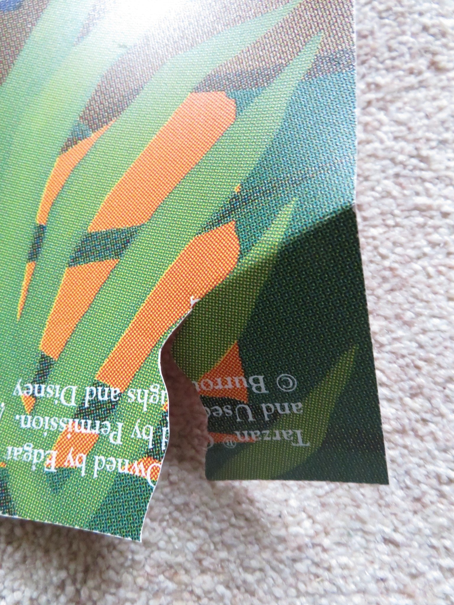 TARZAN - DOUBLE IMAGE - A DOOR PANEL POSTER ROLLED DISNEY GLENN CLOSE 1999 Rendezvous Cinema Movie posters