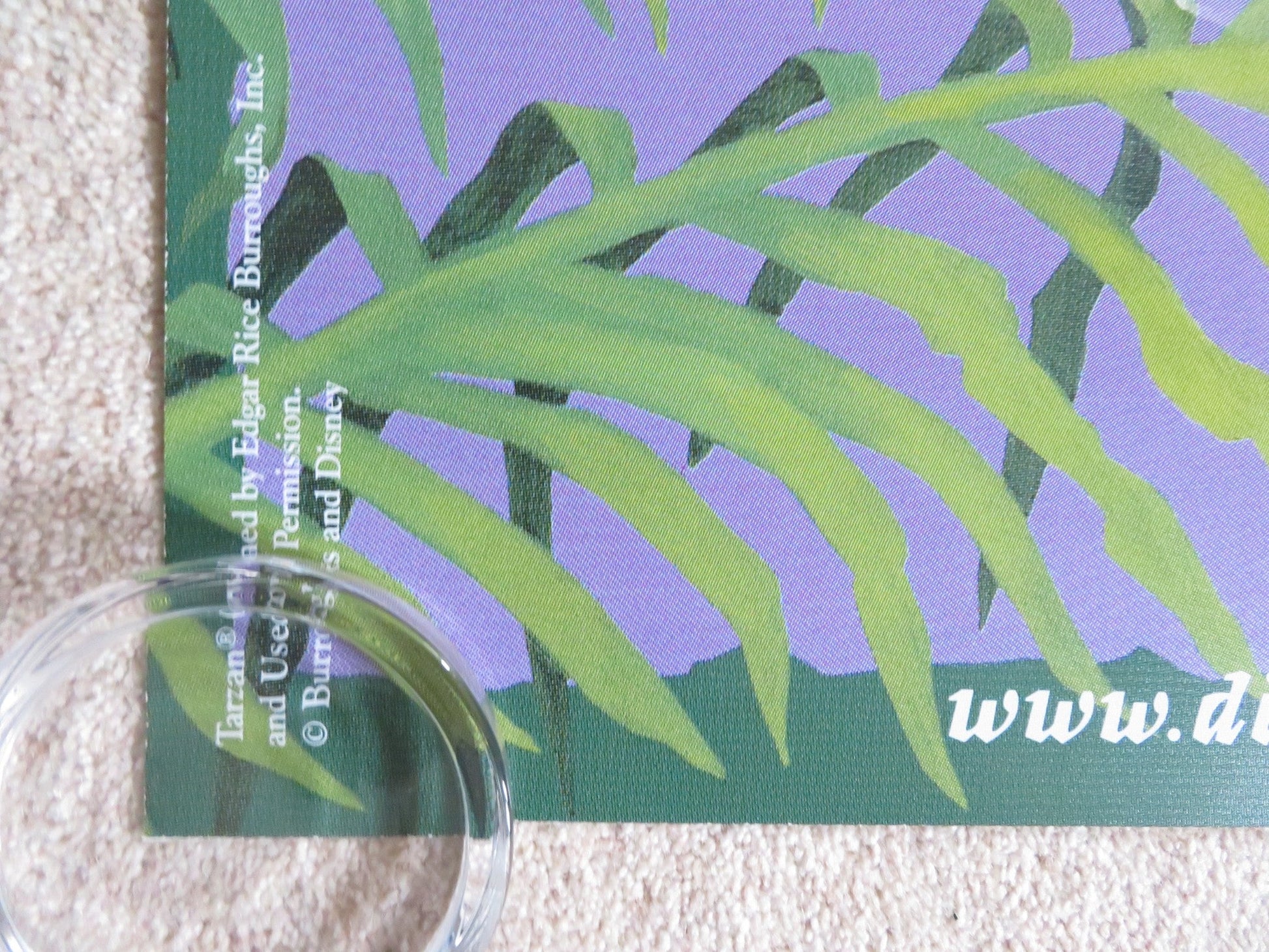 TARZAN - DOUBLE IMAGE - B DOOR PANEL POSTER ROLLED DISNEY GLENN CLOSE 1999 Rendezvous Cinema Movie posters