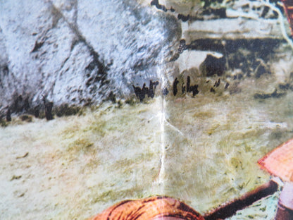 TARZAN GOES TO INDIA - B ITALIAN FOTOBUSTA POSTER JOCK MAHONEY LEO GORDON 1962 Rendezvous Cinema Movie posters