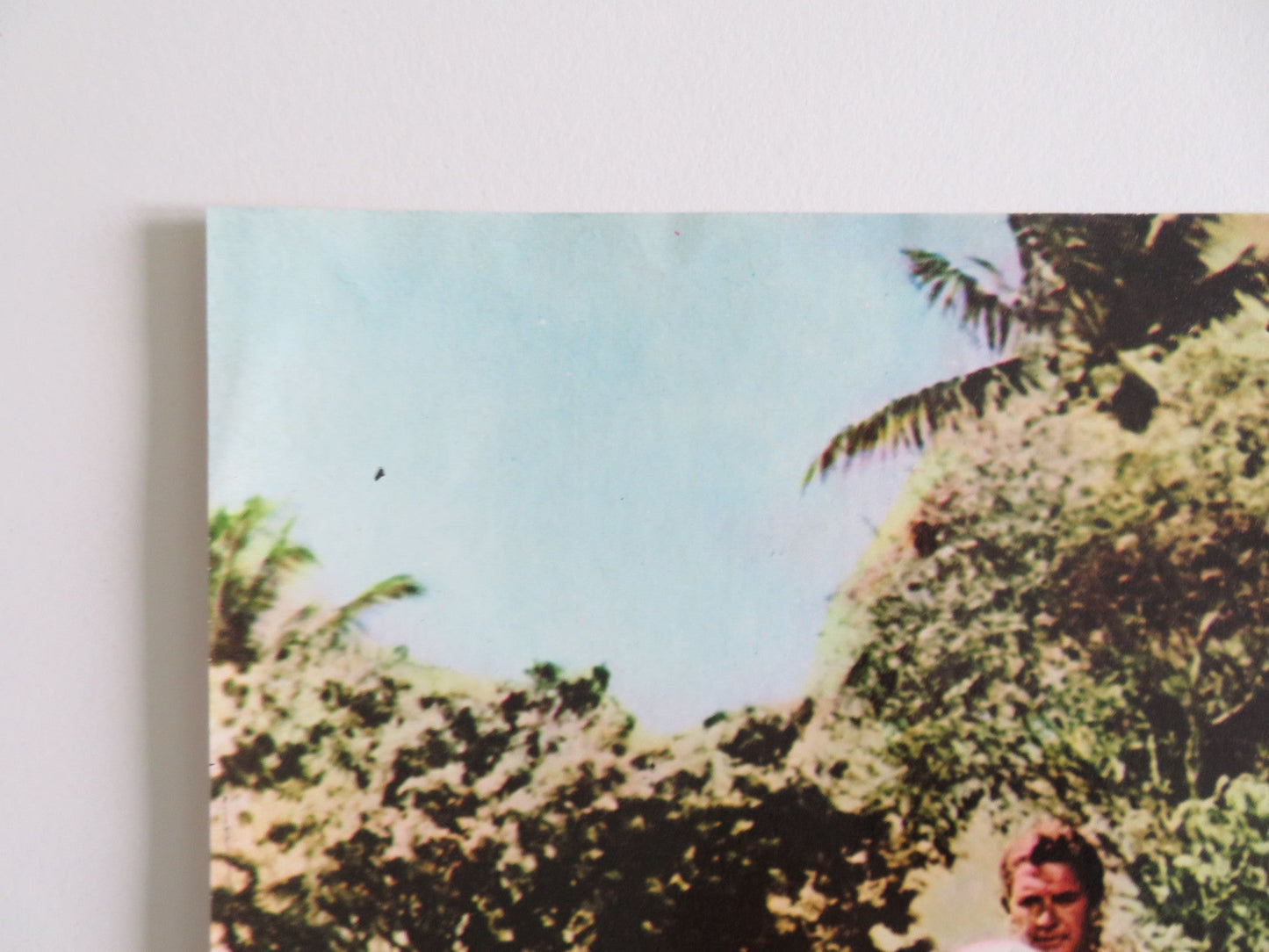 TARZAN GOES TO INDIA - B ITALIAN FOTOBUSTA POSTER JOCK MAHONEY LEO GORDON 1962 Rendezvous Cinema Movie posters