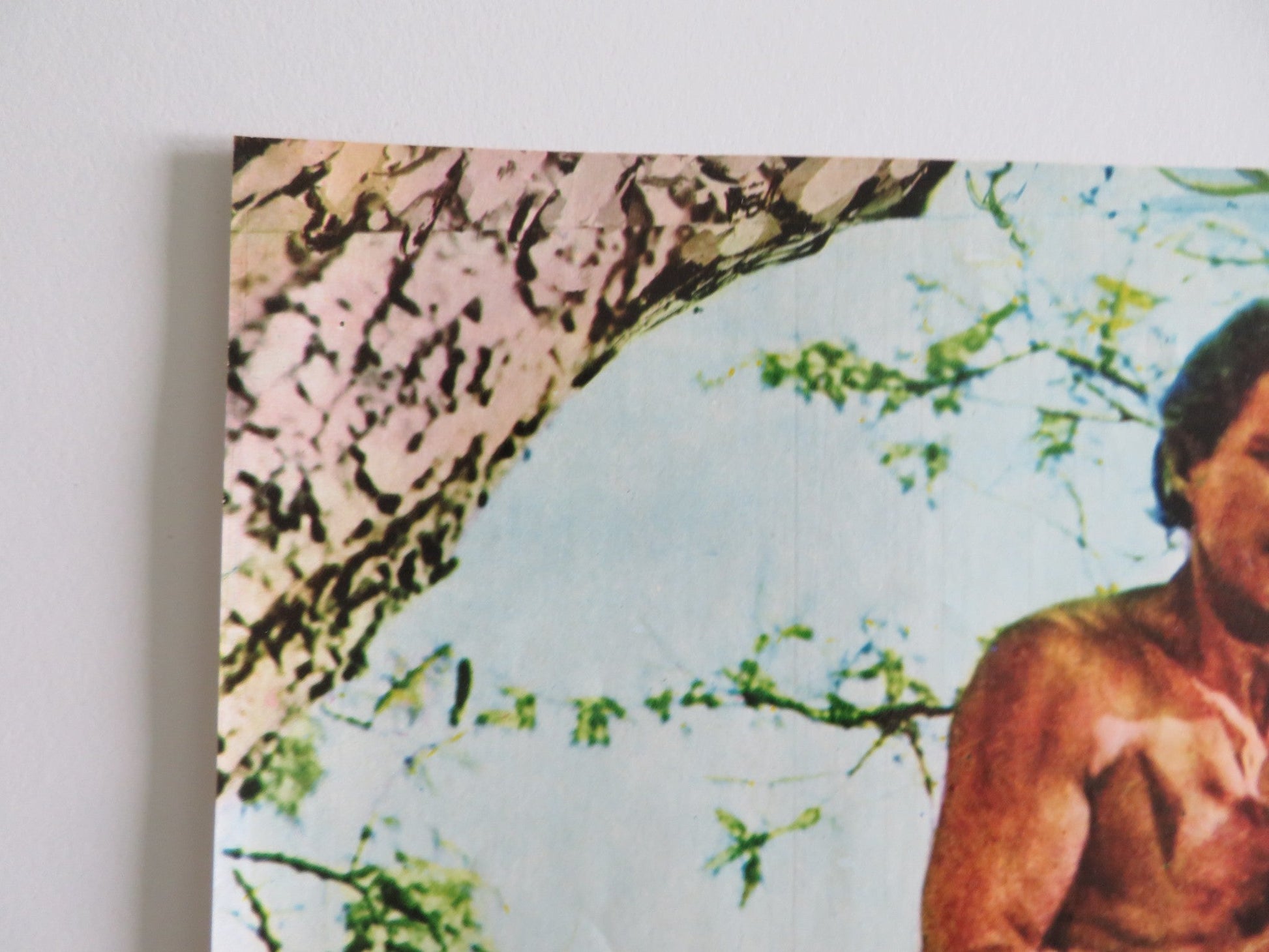 TARZAN GOES TO INDIA - D ITALIAN FOTOBUSTA POSTER JOCK MAHONEY LEO GORDON 1962 Rendezvous Cinema Movie posters