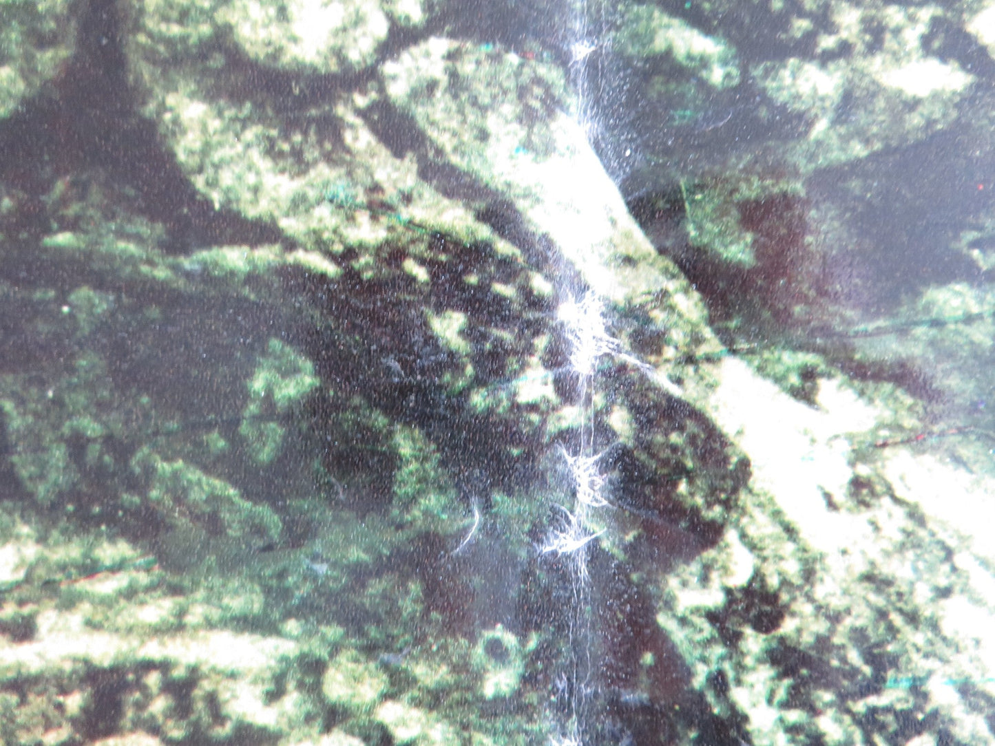 TARZAN GOES TO INDIA - F ITALIAN FOTOBUSTA POSTER JOCK MAHONEY LEO GORDON 1962 Rendezvous Cinema Movie posters