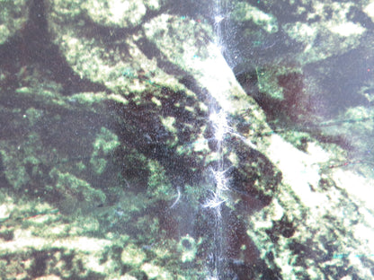 TARZAN GOES TO INDIA - F ITALIAN FOTOBUSTA POSTER JOCK MAHONEY LEO GORDON 1962 Rendezvous Cinema Movie posters