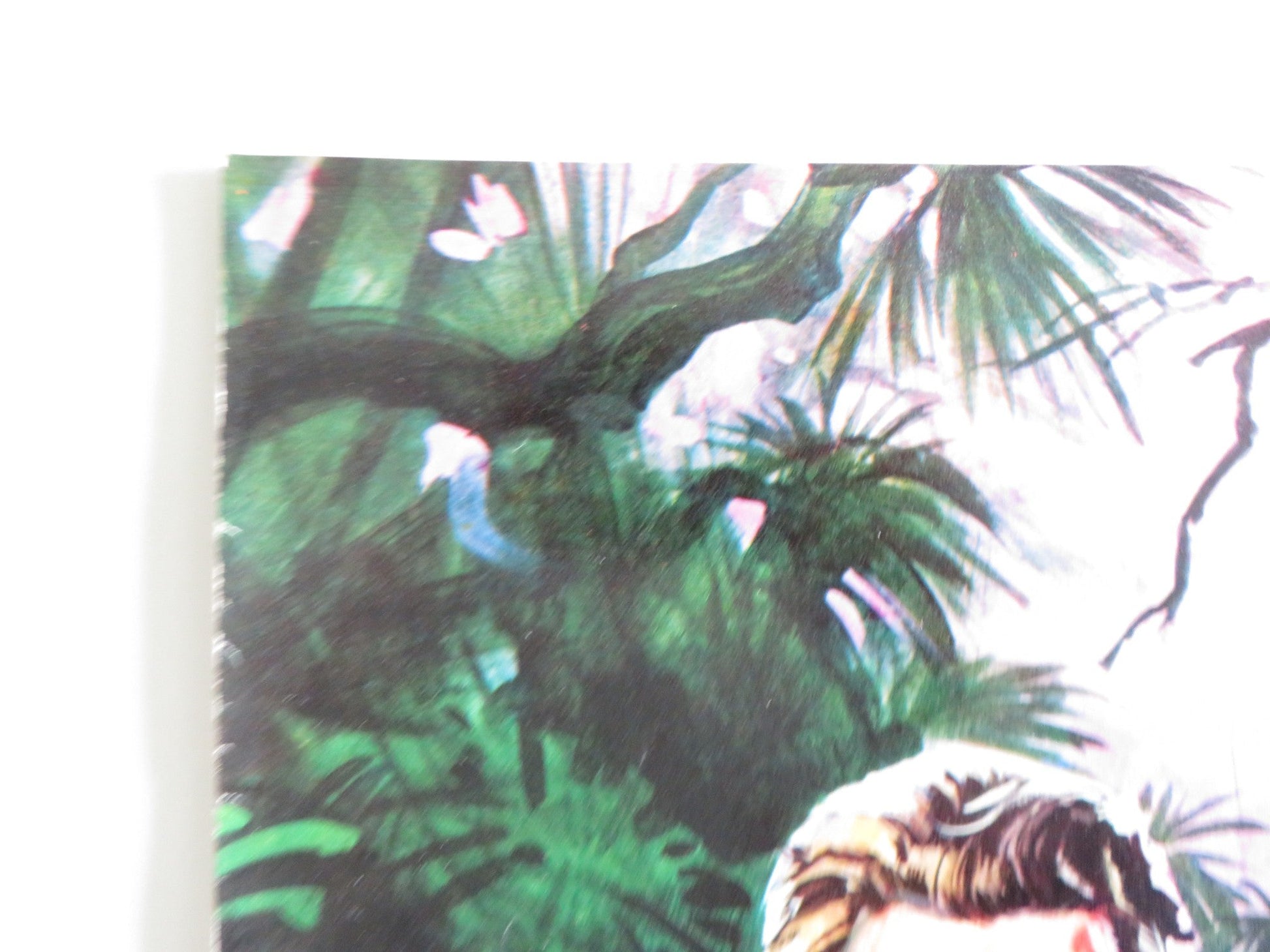 TARZAN GOES TO INDIA - F ITALIAN FOTOBUSTA POSTER JOCK MAHONEY LEO GORDON 1962 Rendezvous Cinema Movie posters