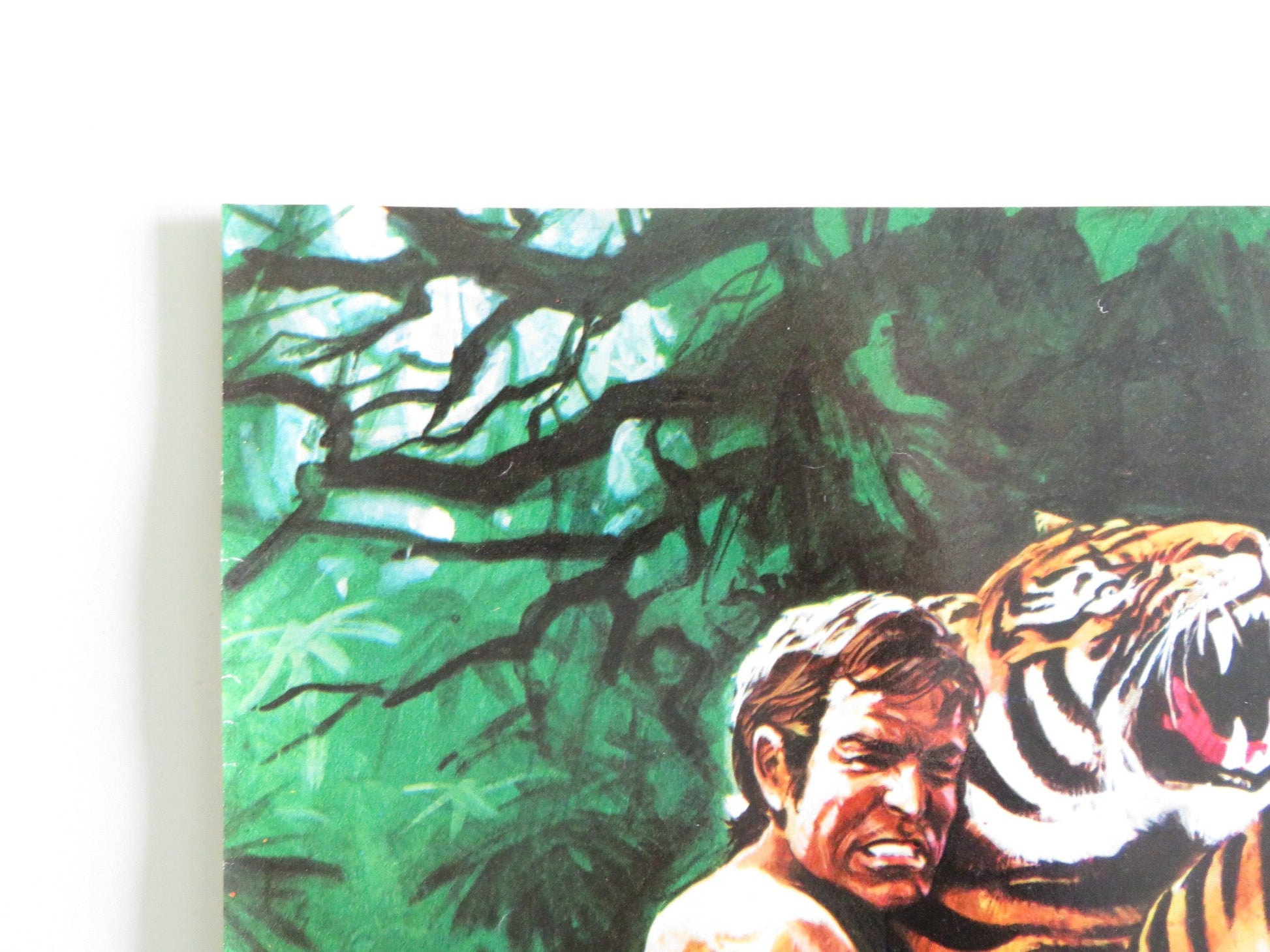 TARZAN GOES TO INDIA - G ITALIAN FOTOBUSTA POSTER JOCK MAHONEY LEO GORDON 1962 Rendezvous Cinema Movie posters