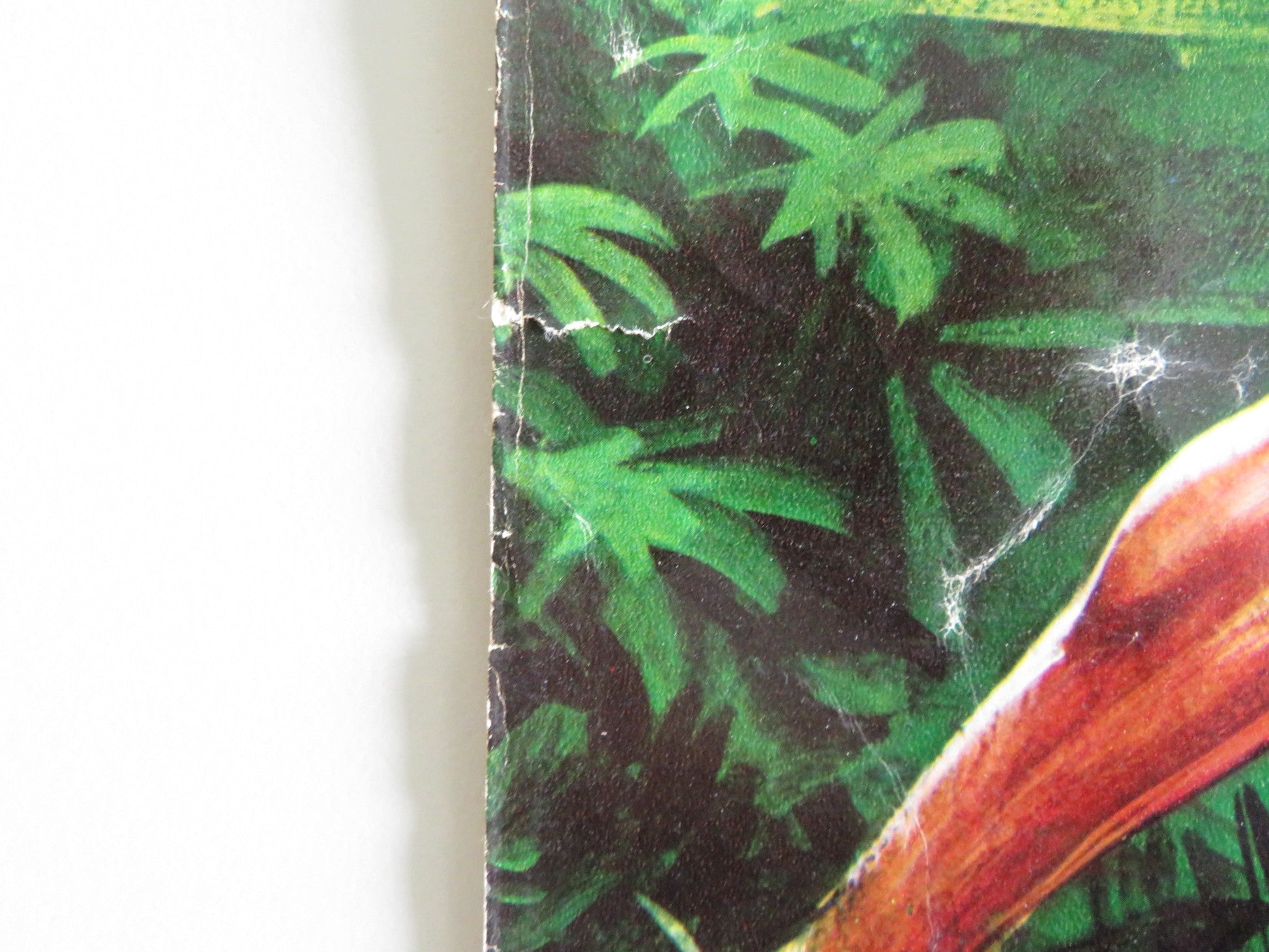 TARZAN GOES TO INDIA - H ITALIAN FOTOBUSTA POSTER JOCK MAHONEY LEO GORDON 1962 Rendezvous Cinema Movie posters