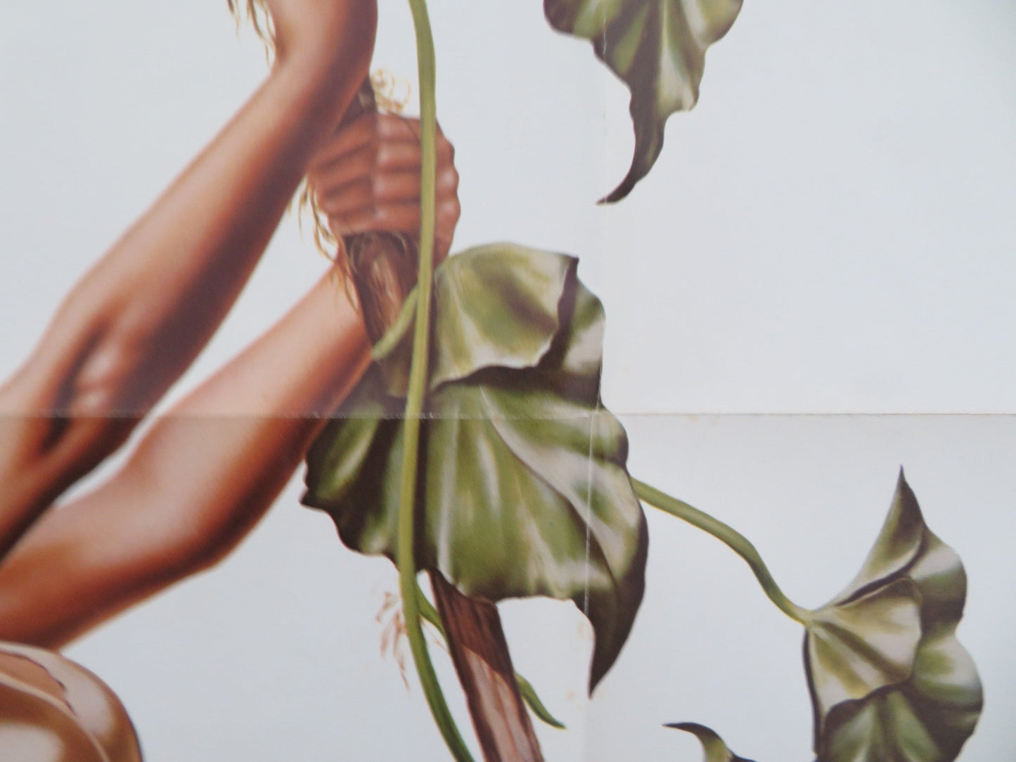 Tarzan, The Ape Man Folded US One Sheet Poster Bo Derek Richard Harris 1981 Movie posters