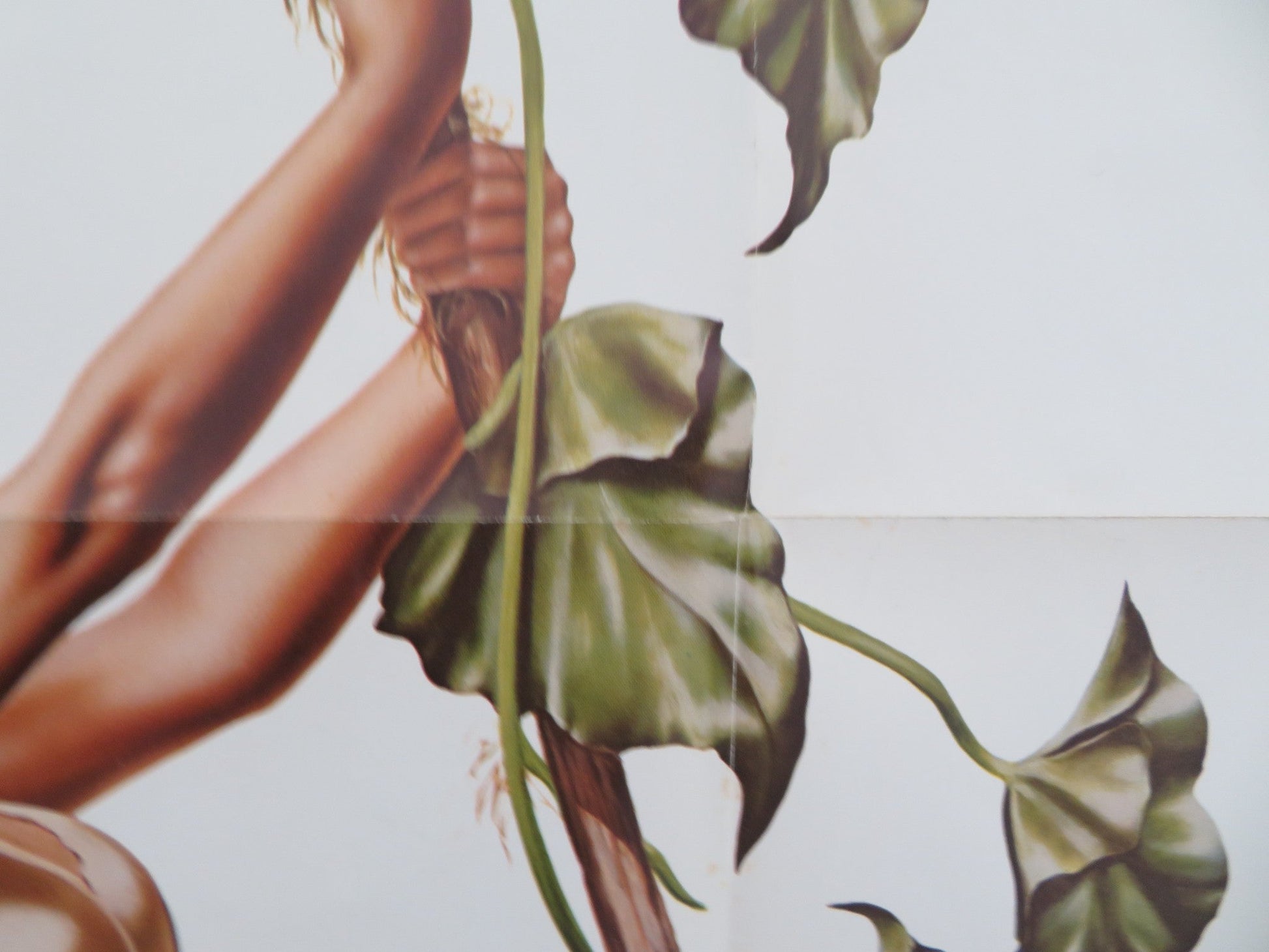 Tarzan, The Ape Man Folded US One Sheet Poster Bo Derek Richard Harris 1981 Movie posters