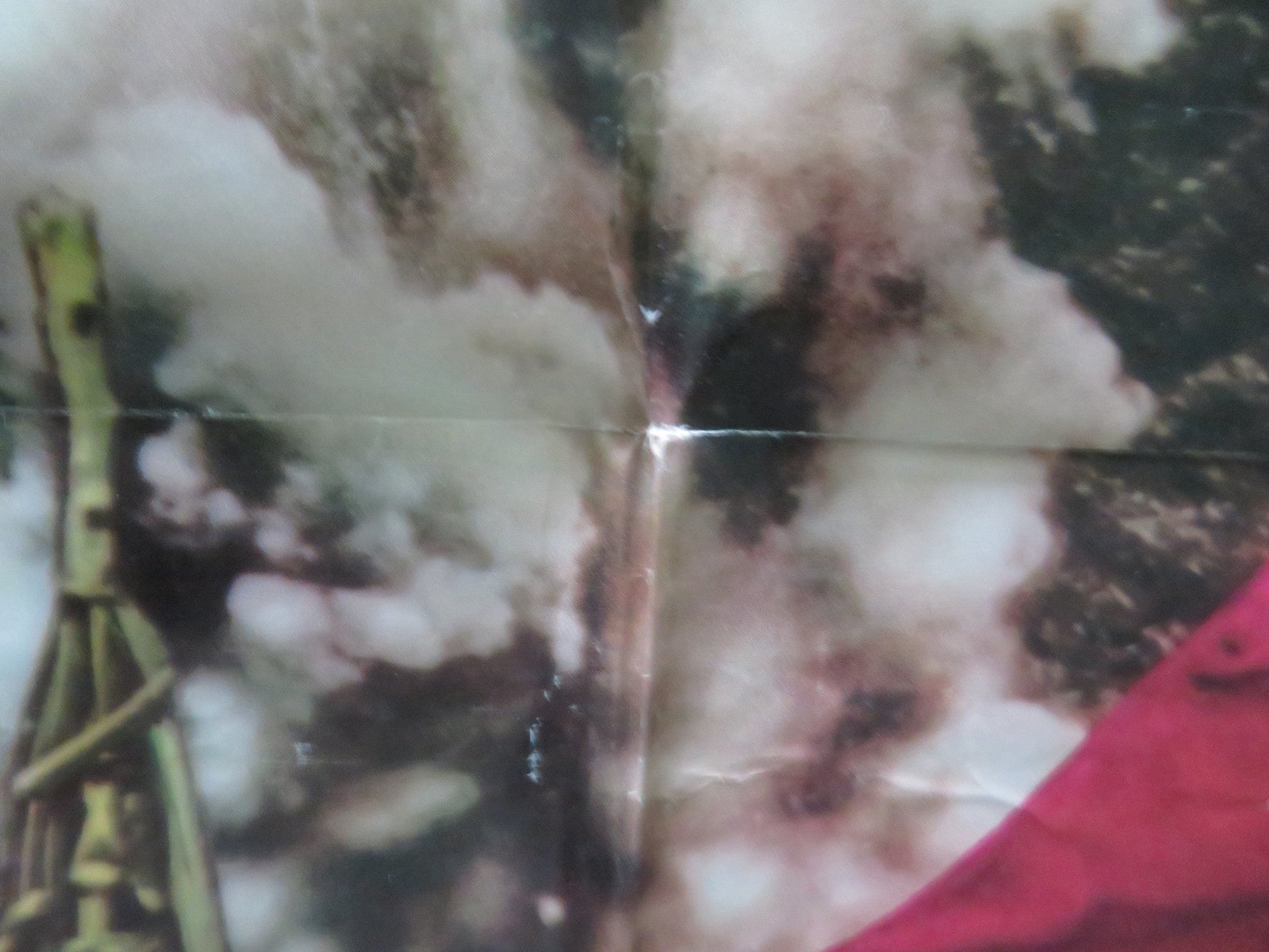 TARZAN'S DEADLY SILENCE FOLDED US ONE SHEET POSTER RON ELY JOCK MAHONEY 1970 Movie posters