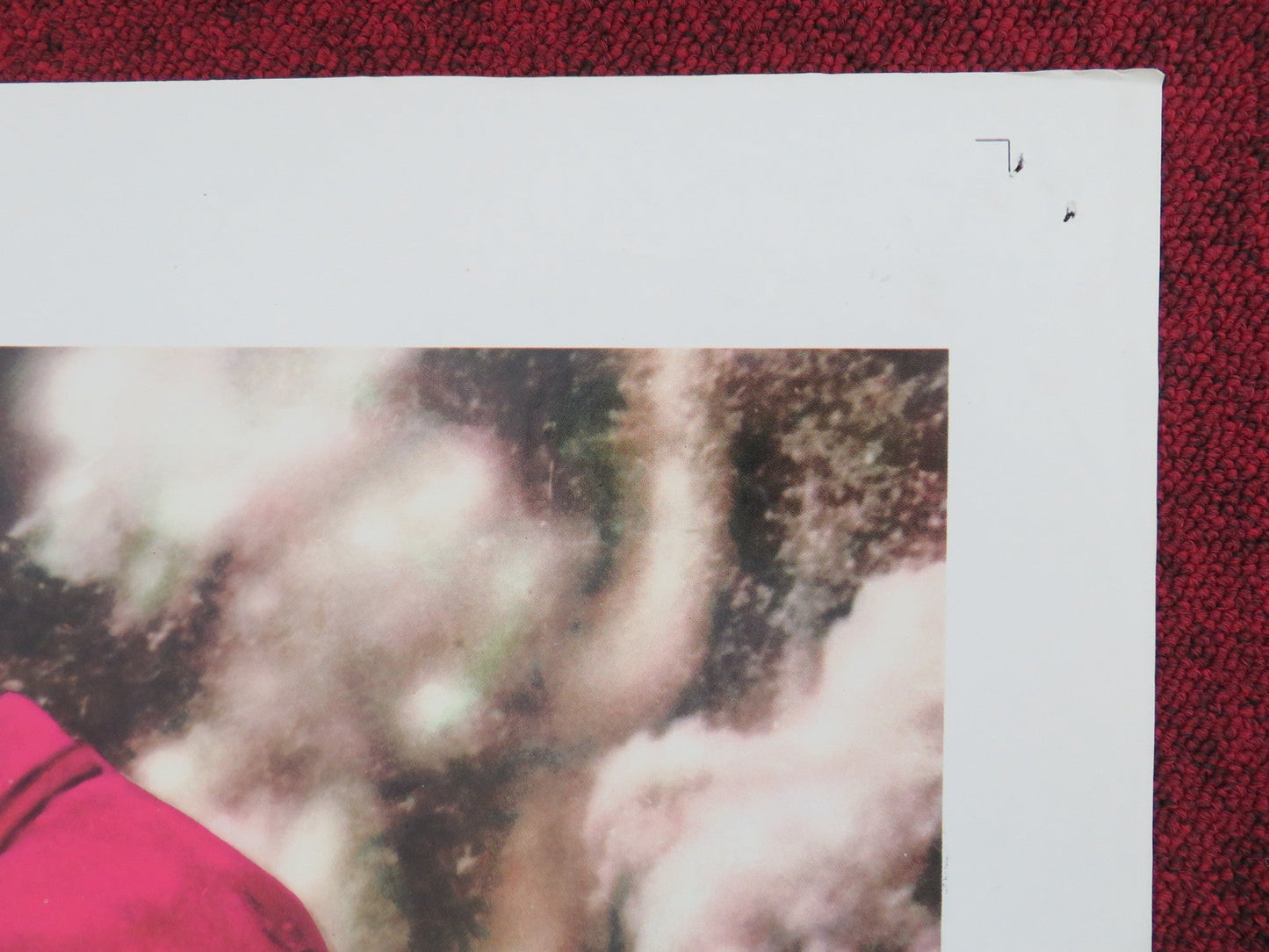 Tarzan's Deadly Silence Folded US One Sheet Poster Ron Ely Jock Mahoney 1970 Movie posters
