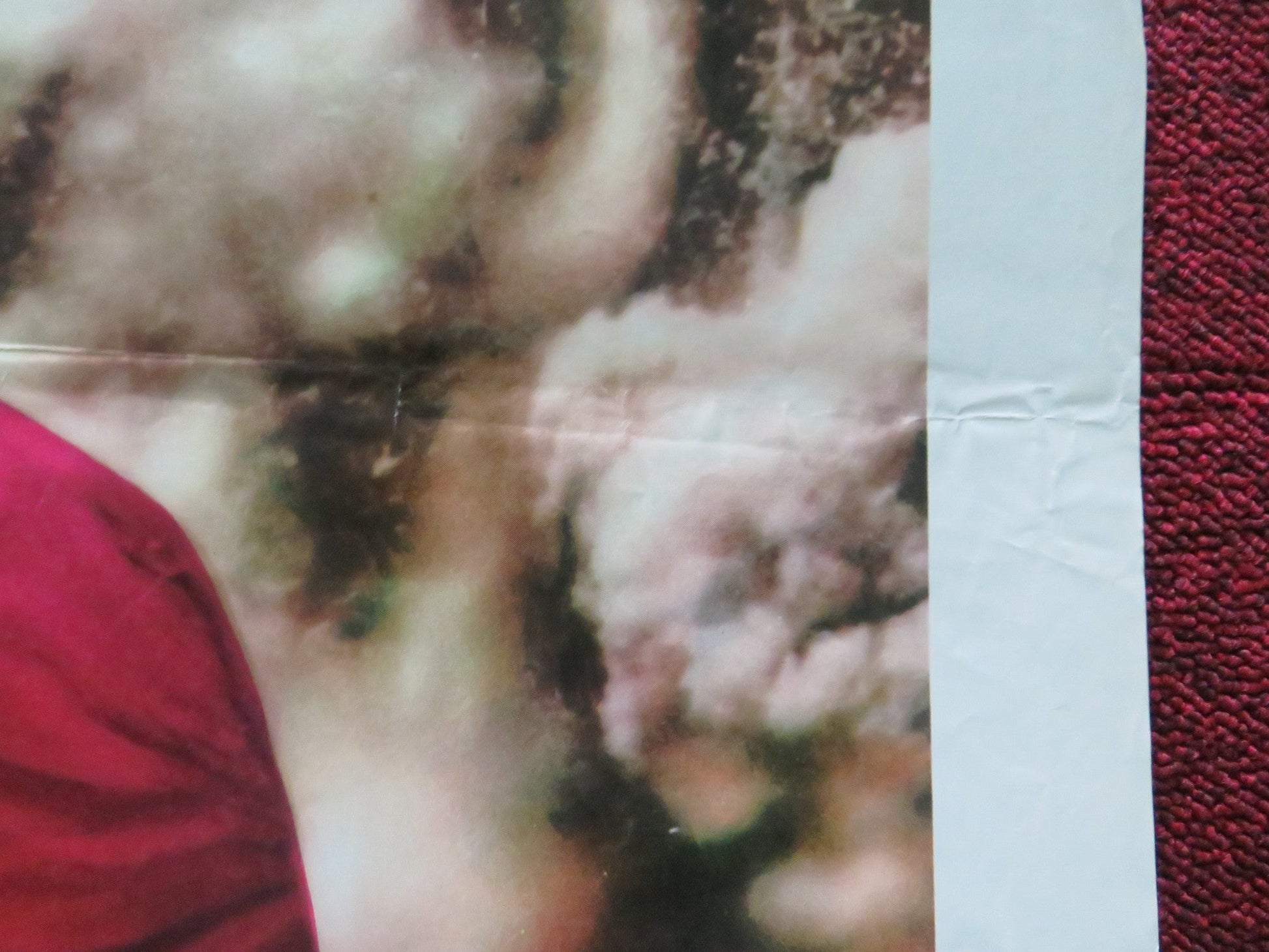 TARZAN'S DEADLY SILENCE FOLDED US ONE SHEET POSTER RON ELY JOCK MAHONEY 1970 Movie posters