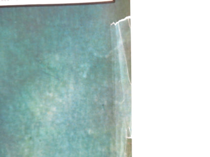 TARZOON SHAME OF THE JUNGLE - A ITALIAN FOTOBUSTA POSTER BERNARD DHERAN 1975 Rendezvous Cinema Movie posters