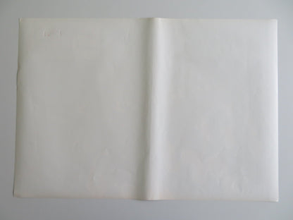 TARZOON SHAME OF THE JUNGLE - C ITALIAN FOTOBUSTA POSTER BERNARD DHERAN 1975 Rendezvous Cinema Movie posters