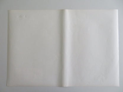 TARZOON SHAME OF THE JUNGLE - D ITALIAN FOTOBUSTA POSTER BERNARD DHERAN 1975 Rendezvous Cinema Movie posters