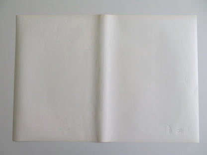 TARZOON SHAME OF THE JUNGLE - E ITALIAN FOTOBUSTA POSTER BERNARD DHERAN 1975 Rendezvous Cinema Movie posters