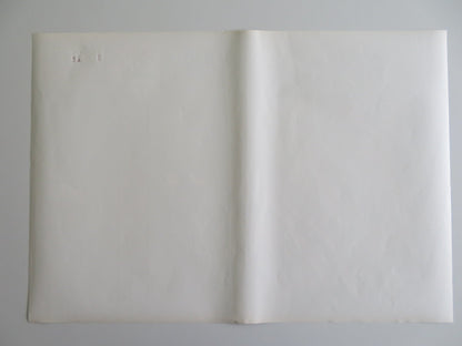 TARZOON SHAME OF THE JUNGLE - F ITALIAN FOTOBUSTA POSTER BERNARD DHERAN 1975 Rendezvous Cinema Movie posters