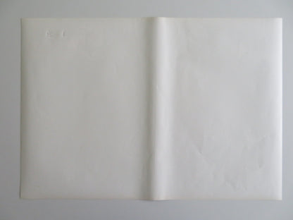 TARZOON SHAME OF THE JUNGLE - G ITALIAN FOTOBUSTA POSTER BERNARD DHERAN 1975 Rendezvous Cinema Movie posters