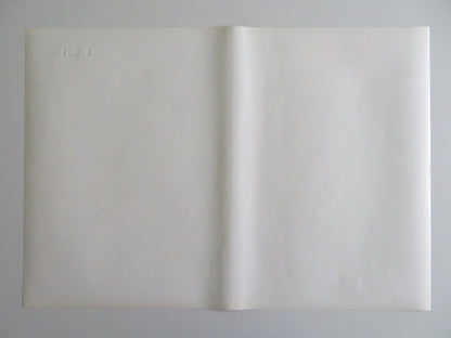 TARZOON SHAME OF THE JUNGLE - H ITALIAN FOTOBUSTA POSTER BERNARD DHERAN 1975 Rendezvous Cinema Movie posters