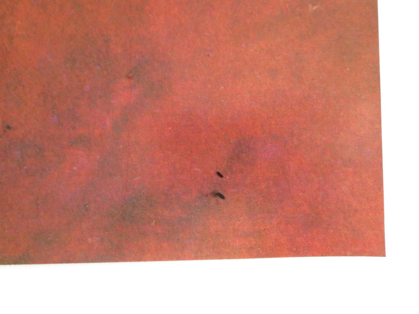 TARZOON SHAME OF THE JUNGLE - H ITALIAN FOTOBUSTA POSTER BERNARD DHERAN 1975 Rendezvous Cinema Movie posters