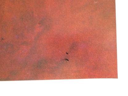 TARZOON SHAME OF THE JUNGLE - H ITALIAN FOTOBUSTA POSTER BERNARD DHERAN 1975 Rendezvous Cinema Movie posters