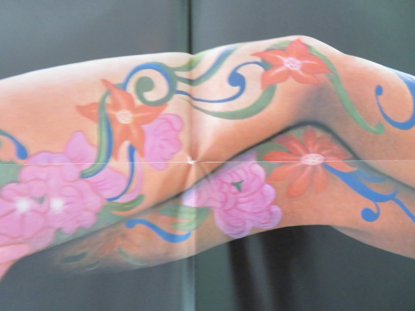 TATTOO - B FOLDED US ONE SHEET POSTER BRUCE DERN MAUD ADAMS 1981 Movie posters