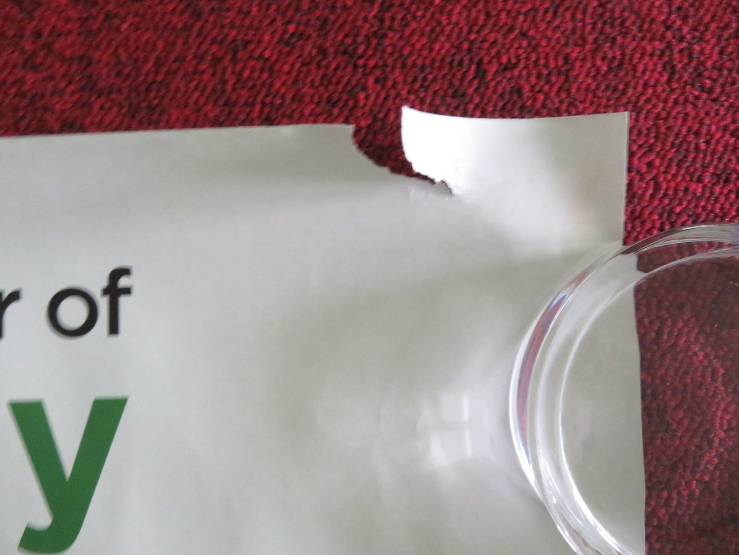 TED UK QUAD ROLLED POSTER MARK WAHLBERG MILA KUNIS 2012 Movie posters