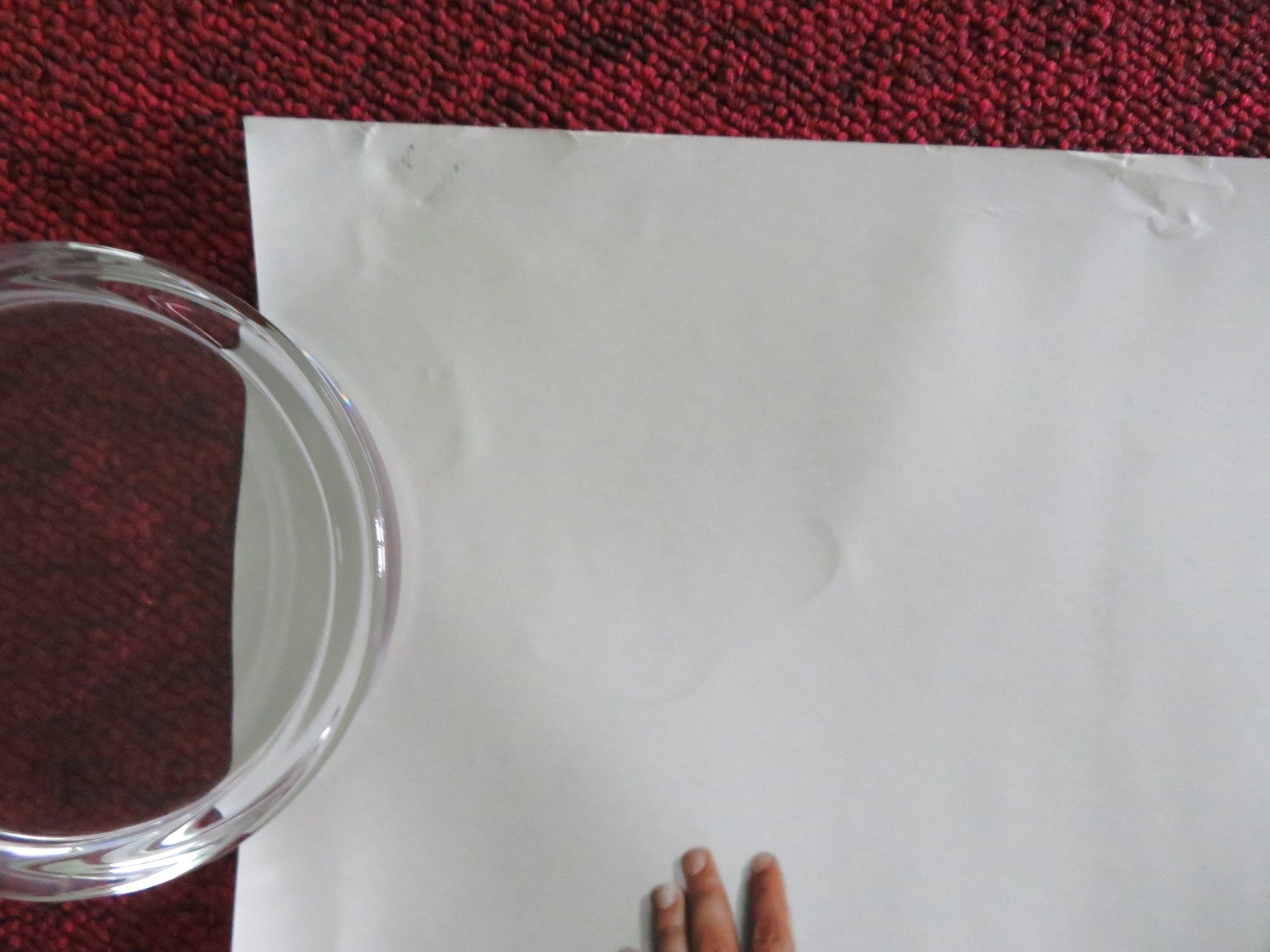 TED UK QUAD ROLLED POSTER MARK WAHLBERG MILA KUNIS 2012 Movie posters