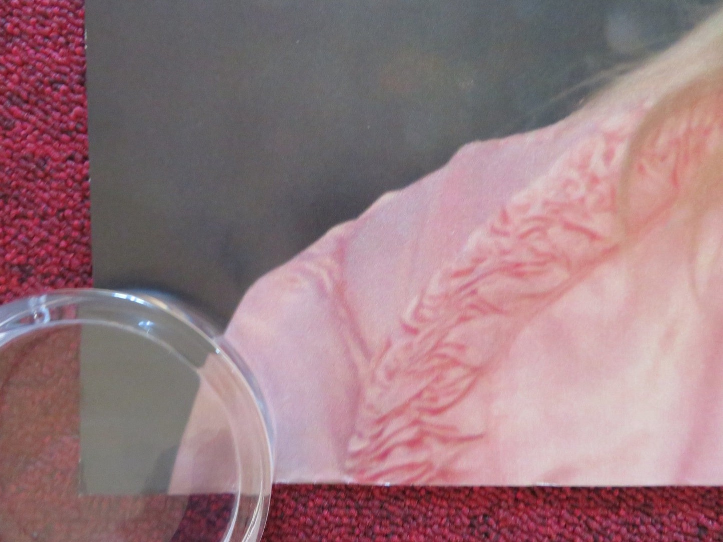 TELL THAT TO THE WINTER SEA UK QUAD ROLLED POSTER BELLAMACINA AMBER ANDERS 2024 Rendezvous Cinema Movie posters