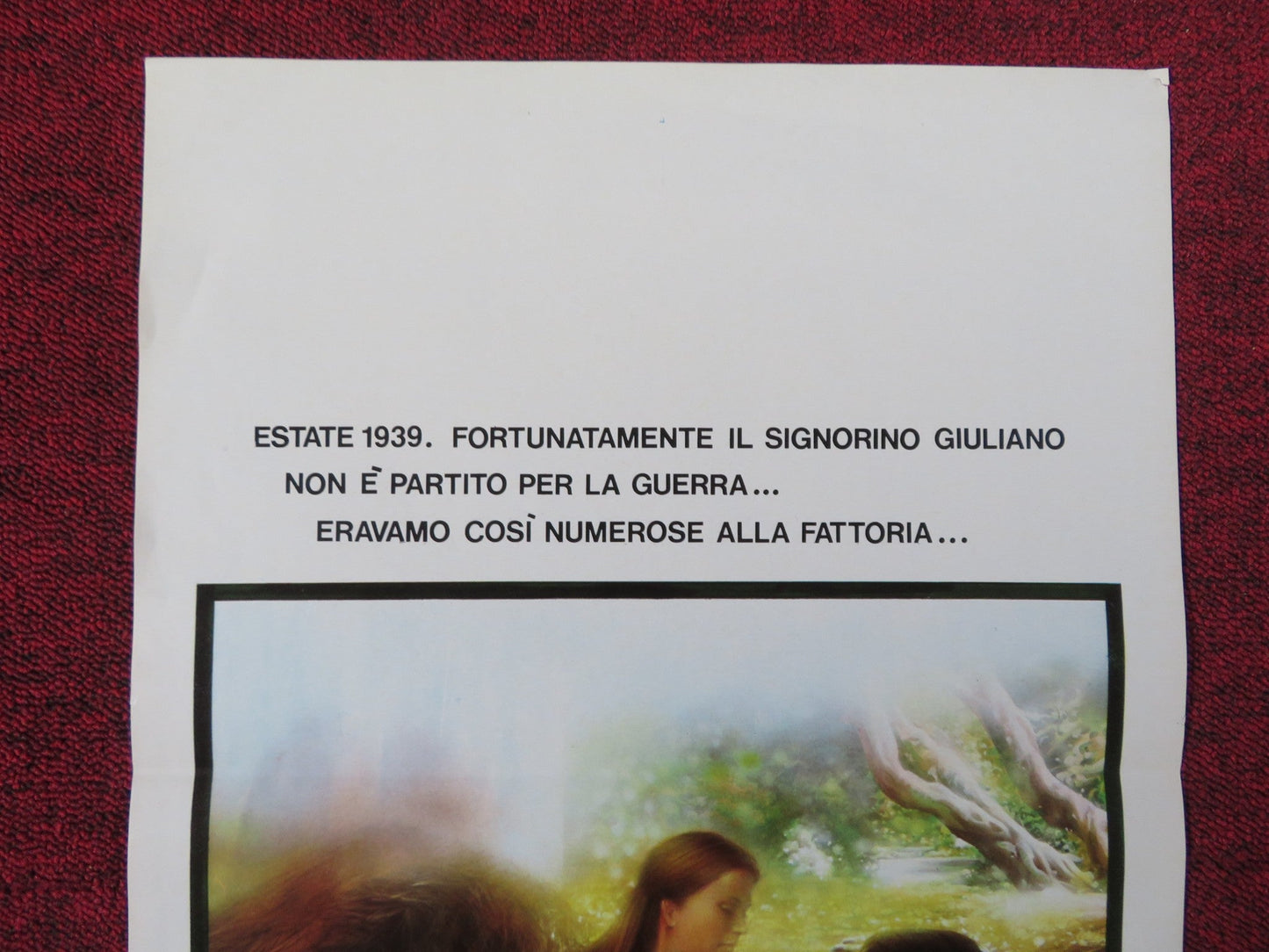TENDER COUSINS ITALIAN LOCANDINA POSTER THEIRRY TEVINI ANJA SHUTE 1981 Rendezvous Cinema Movie posters