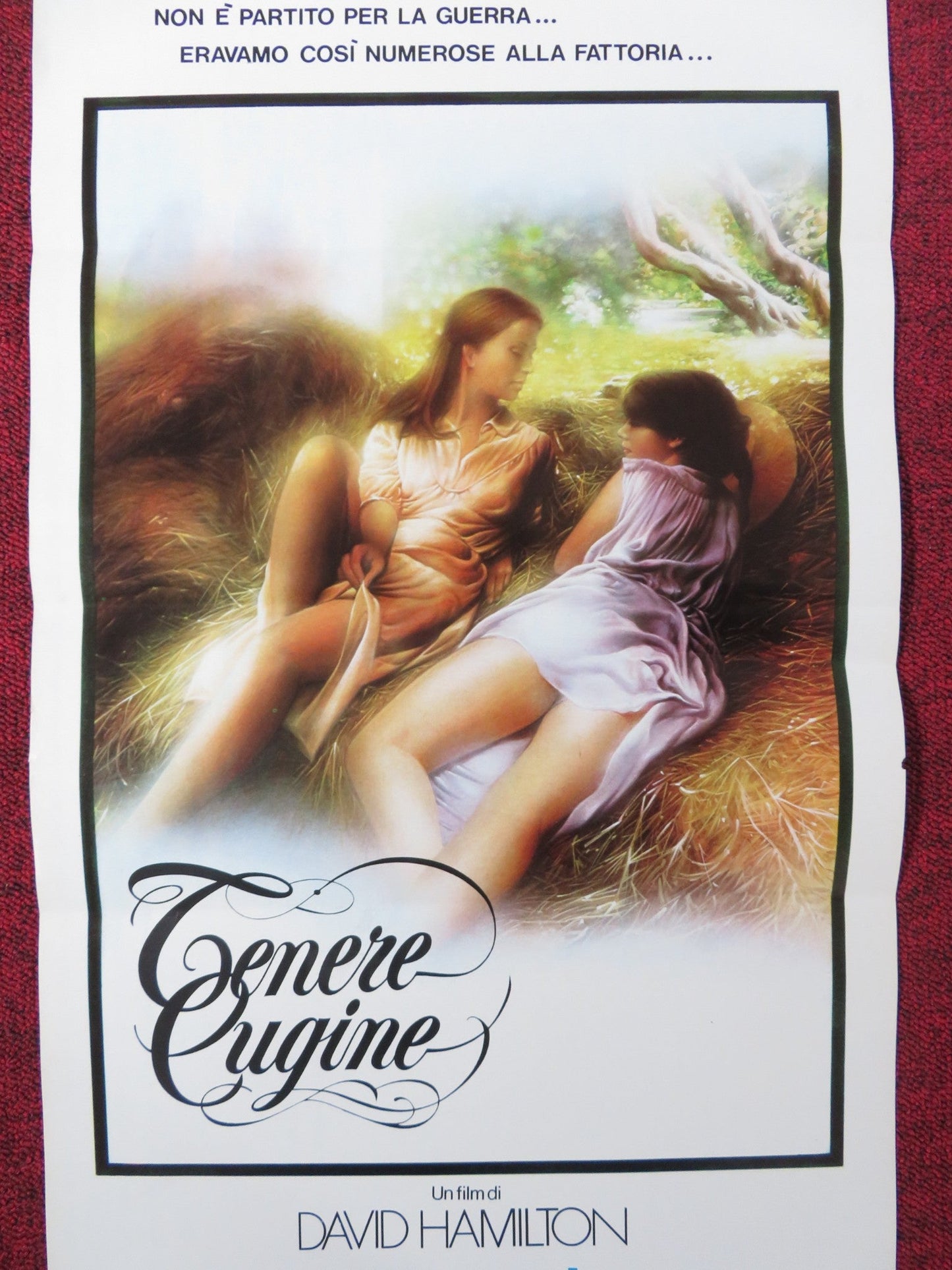 TENDER COUSINS ITALIAN LOCANDINA POSTER THEIRRY TEVINI ANJA SHUTE 1981 Rendezvous Cinema Movie posters